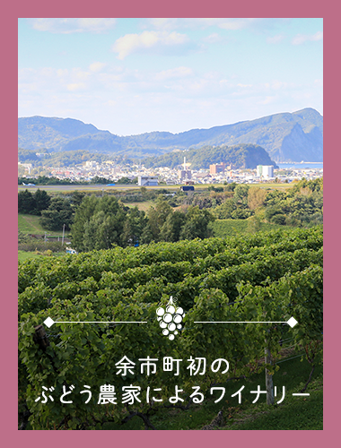 余市町初のぶどう農家直営のワイナリー